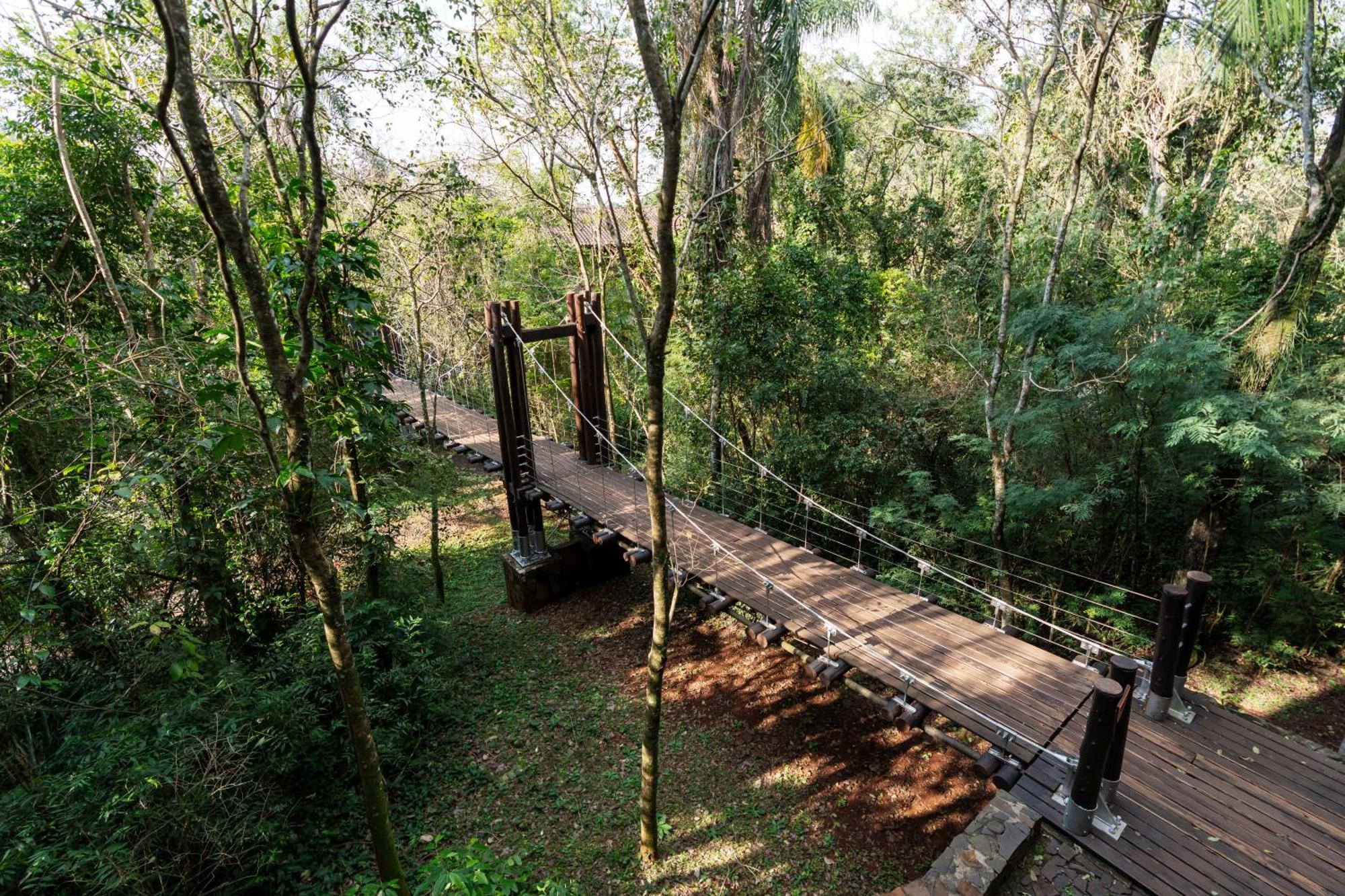 Loi Iguazu